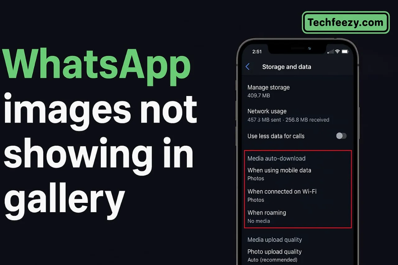 WhatsApp Images Not Showing in Gallery